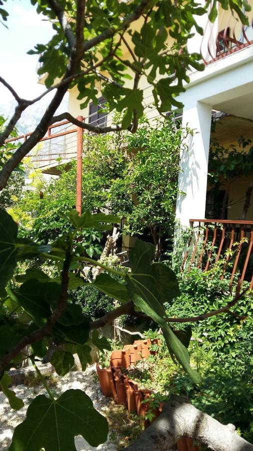 Apartmani Ivanka Makarska Extérieur photo
